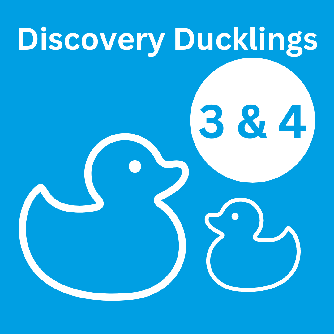Discovery Ducklings 3&4